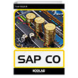 Sap Co Kodlab Yayn Datm