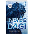 ndigo Da Ren Kitap