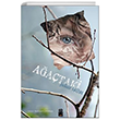 Aataki On8 Kitap