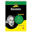 Einstein for Dummies Nobel Yaam
