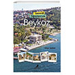 Gezerek reniyorum Beykoz Anonim Yaynclk