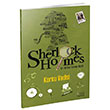 Sherlock Holmes Korku Vadisi Bilgili Yaynlar