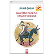 Nasrettin Hocann Kyne Yolculuk Altn Kitaplar