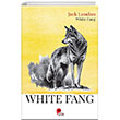 White Fang Peta Kitap