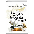 u Anda Burada Myz? Kolektif Kitap