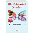 Bir Kelebekti mrm Tilki Kitap