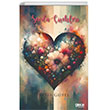 Sevda iekleri Gece Kitapl