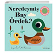 Neredeymi Bay rdek? Domingo Yaynevi