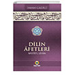Dilin Afetleri (Afatl lisan) Kayhan Yaynlar
