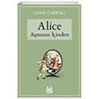 Alice Aynann inden Arkada Yaynlar