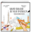 What Colour Is Your Mosque Colourng Book Karavan ocuk Yaynlar