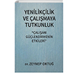 alan Glendirmenin Etkileri Sistem Yaynclk