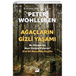 Aalarn Gizli Yaam Ne Hissederler Nasl letiim Kurarlar Gizli Bir Dnyadan Keifler Doan Kitap