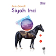 Klasikleri Okuyorum Siyah nci Doan Kitap
