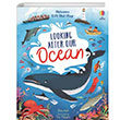 Lift-the-flap Looking After Our Ocean Usborne Publishing