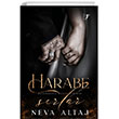 Harabe Artemis Yaynlar