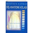 Di Anatomi Atlas Palme Yaynevi