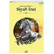 Siyah nci letiim Yaynevi