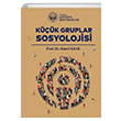 Kk Gruplar Sosyolojisi stanbul Geliim niversitesi Yaynlar