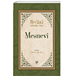 Mesnevi amil Yaynevi
