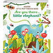 Little Peep-Through Books: Are you there Little Elephant? Usborne