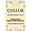 ulluk E-Kitap Yaynclk