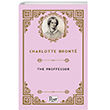The Proffessor  Paper Books