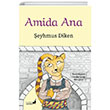 Amida Ana Everest ocuk