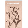 Doann Dzeni Doruk Yaynlar