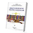 irketler Hukuku Pratik almalar Filiz Kitabevi