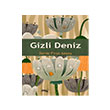 Gizli Deniz Snrsz Kitap