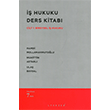  Hukuku Ders Kitab Cilt 1: Bireysel  Hukuku Lykeon Yaynlar