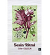 Sesin Ritmi Yenice Kitap