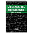 Diferansiyel Denklemler Palme Yaynlar