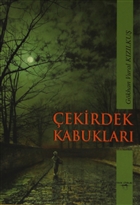 Çekirdek Kabukları Sokak Kitapları Yayınları