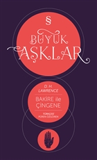 Bakire ile ingene : Byk Aklar Dizisi Everest Yaynlar