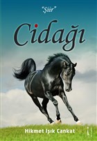 Cida kinci Adam Yaynlar