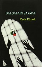 Dalgalar Saymak Kanguru Yaynlar