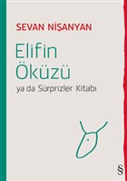 Elifin kz Ya da Srprizler Kitab Everest Yaynlar
