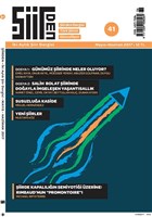 iirden ki Aylk iir Dergisi Say: 41 Mays-Haziran 2017 iirden Yaynclk