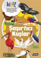 artc Kular Pogo ocuk