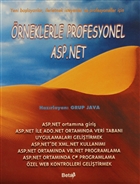 rneklerle Profesyonel ASP. Net Beta Yaynevi