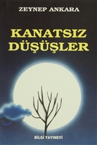 Kanatsız Düşüşler Bilgi Yayınevi