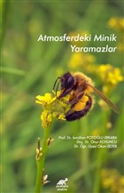 Atmosferdeki Minik Yaramazlar Paradigma Akademi Yaynlar