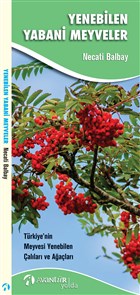 Yenebilen Yabani Meyveler Avantr Kitap