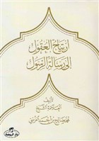rtiyahu`l Ukul ila Risaleti`r Resul Ravza Yaynlar