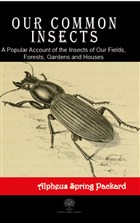 Our Common Insects Platanus Publishing