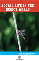 Social Life in the Insect World Platanus Publishing