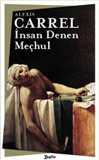 nsan Denen Mehul Zeplin Kitap