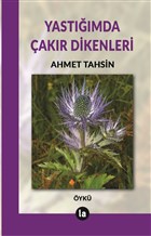 Yastmda akr Dikenleri La Kitap